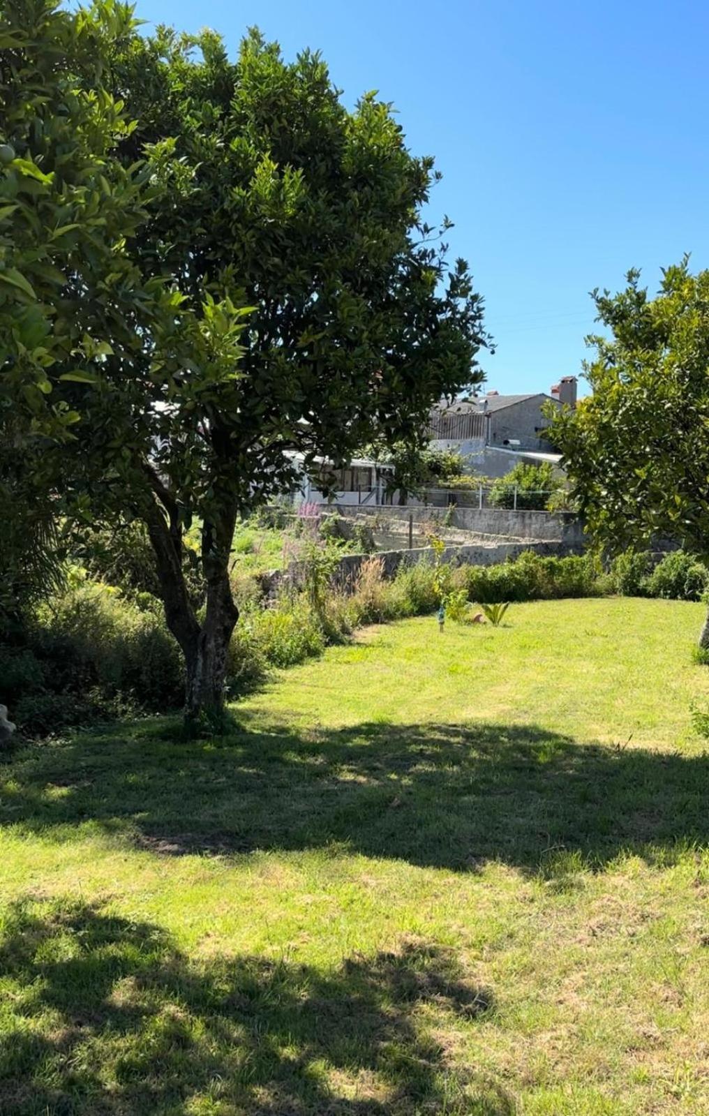 ホテル Casa Inteira Santos'S House II アヴェイロ エクステリア 写真